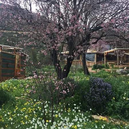 乡村民宿 Oread Garden