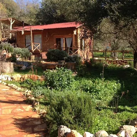 Casa de Campo Oread Garden