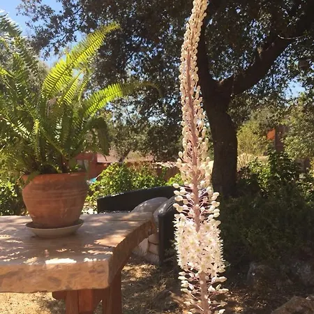 Casa de Campo Oread Garden