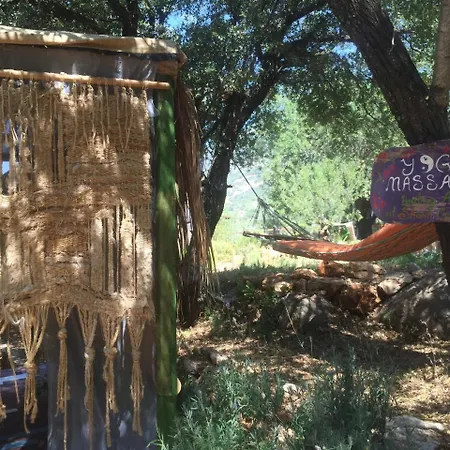 Casa de Campo Oread Garden *