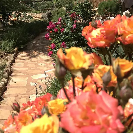 Oread Garden * Kas