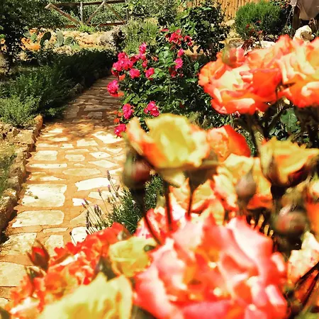 Oread Garden Country house *